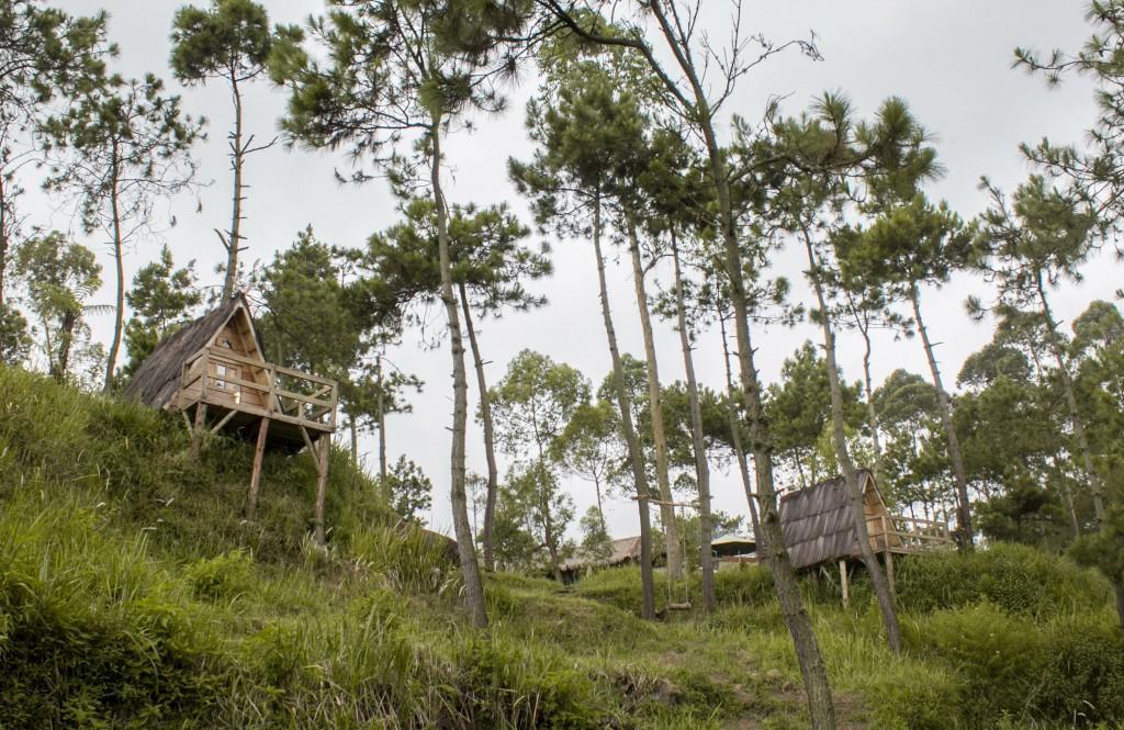 Papandayan Camping Ground Cileuleuy Exterior foto