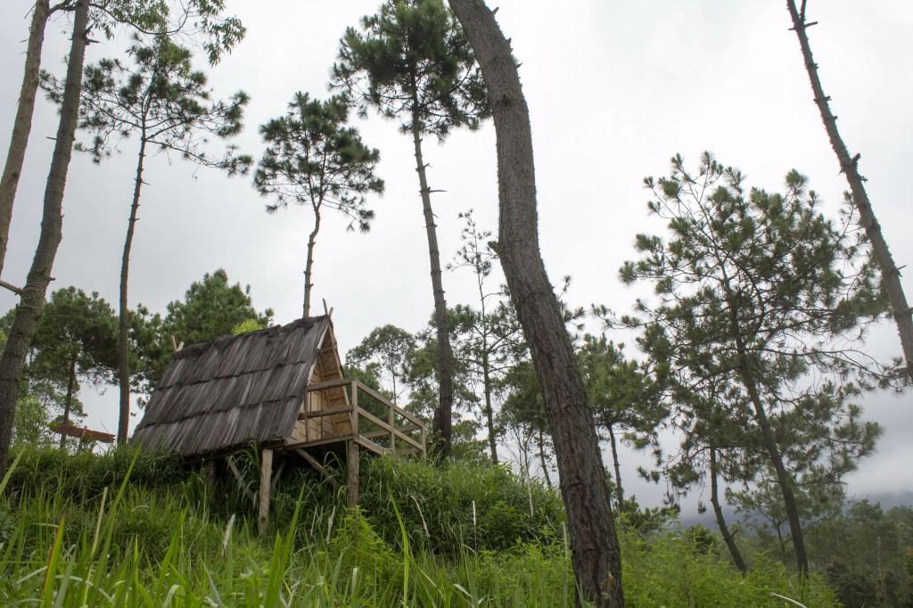 Papandayan Camping Ground Cileuleuy Exterior foto