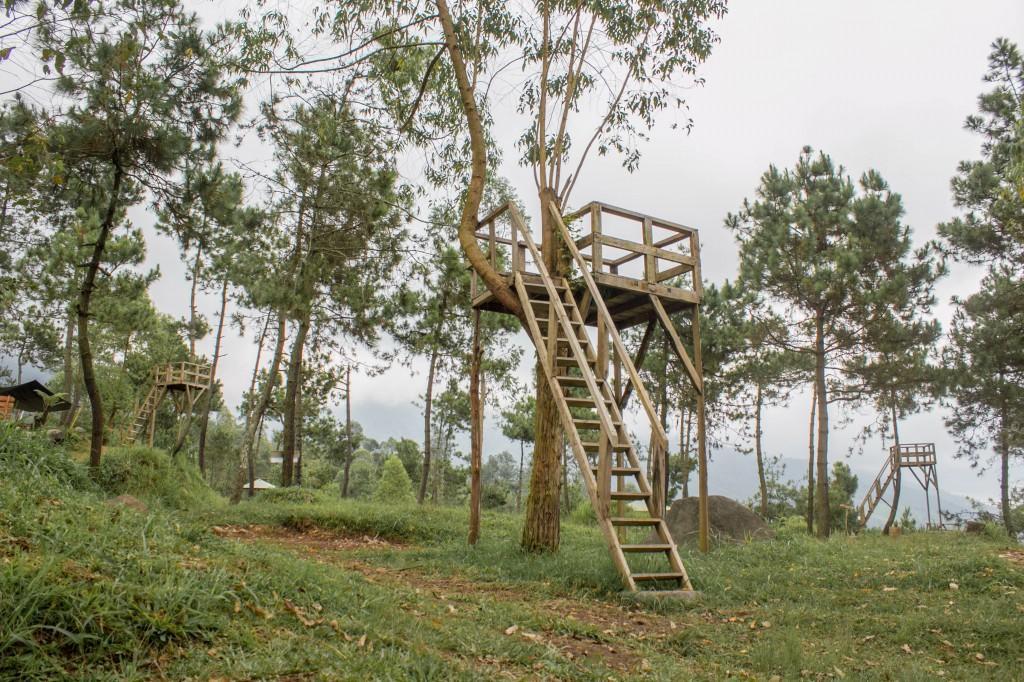 Papandayan Camping Ground Cileuleuy Exterior foto