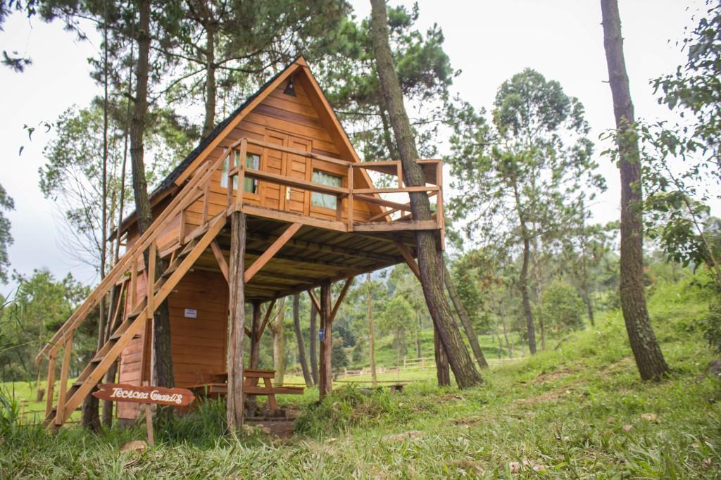 Papandayan Camping Ground Cileuleuy Exterior foto