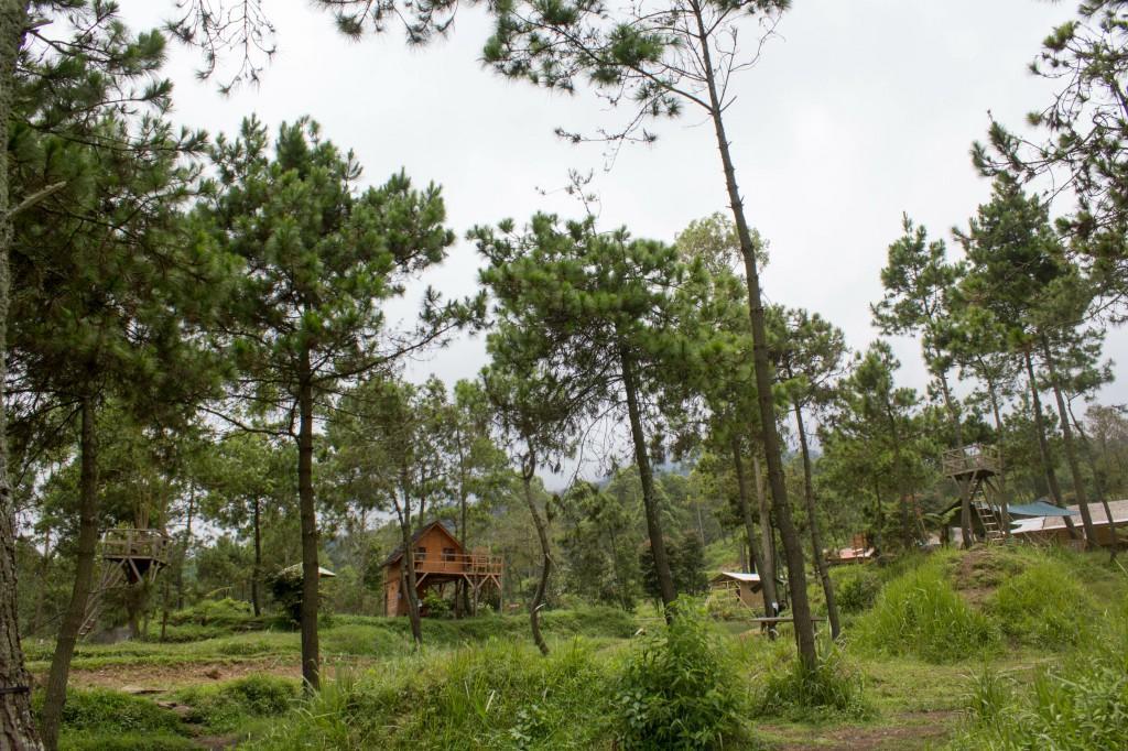 Papandayan Camping Ground Cileuleuy Exterior foto