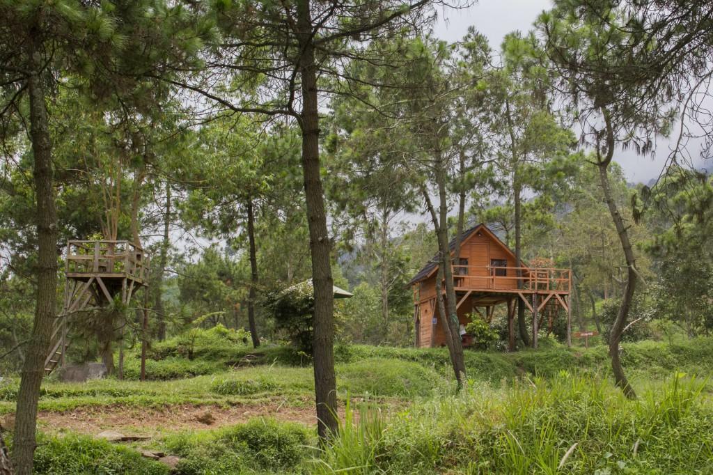 Papandayan Camping Ground Cileuleuy Exterior foto
